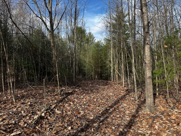 Copper Cottage at Titus Woods property photo