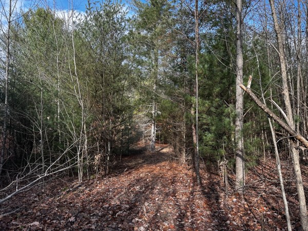 Copper Cottage at Titus Woods property photo