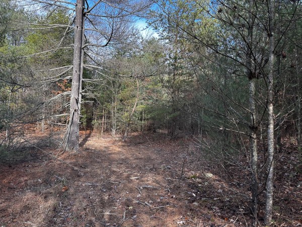 Copper Cottage at Titus Woods property photo