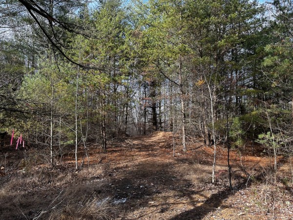 Copper Cottage at Titus Woods property photo