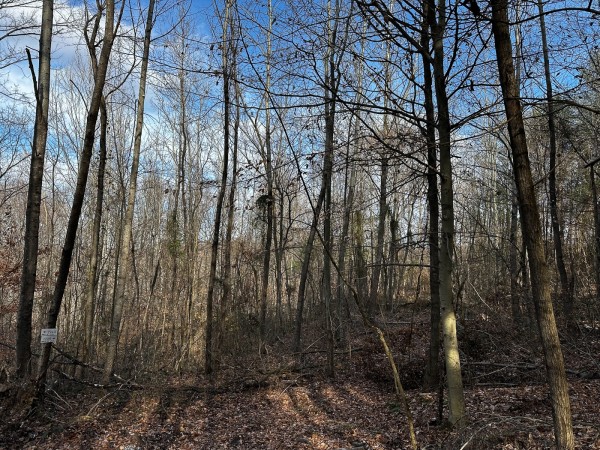 Copper Cottage at Titus Woods property photo