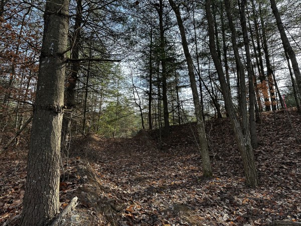 Copper Cottage at Titus Woods property photo