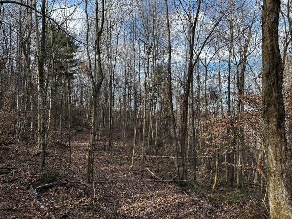 Copper Cottage at Titus Woods property photo