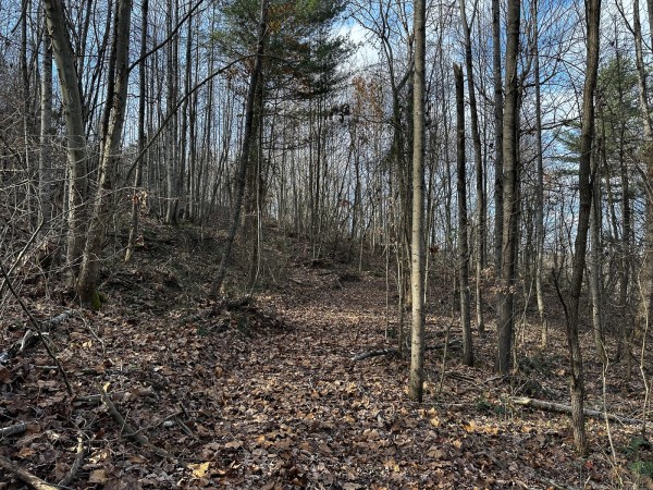 Copper Cottage at Titus Woods property photo