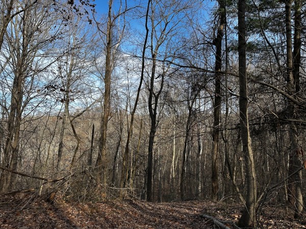 Copper Cottage at Titus Woods property photo
