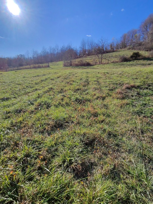 Tract 3 - Albany Woods property photo