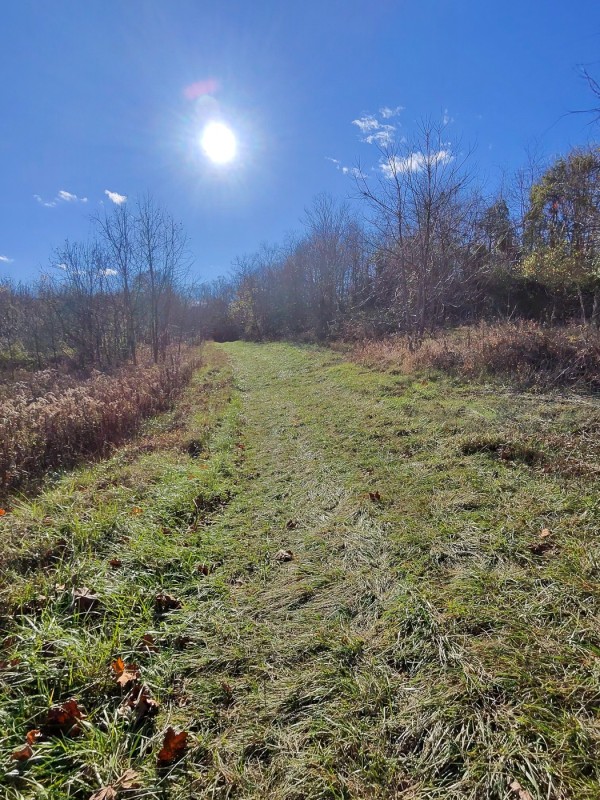 Tract 3 - Albany Woods property photo