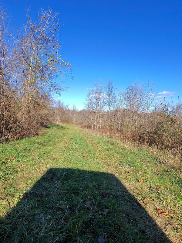 Tract 3 - Albany Woods property photo