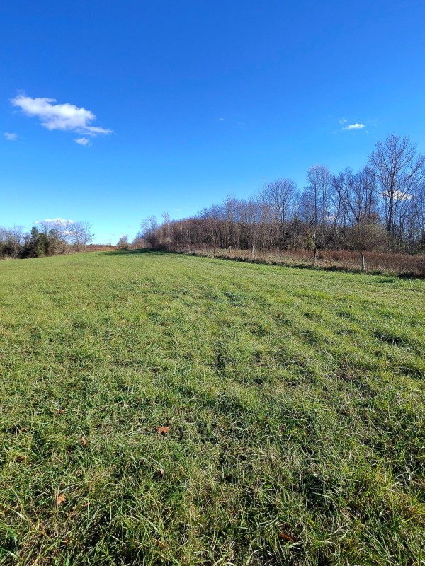 Tract 3 - Albany Woods property photo