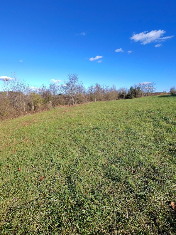 Tract 3 - Albany Woods property photo