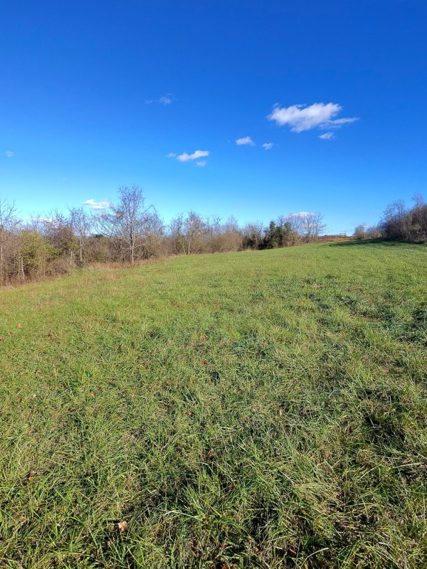 Tract 3 - Albany Woods property photo