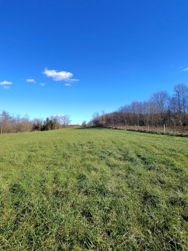 Tract 3 - Albany Woods property photo
