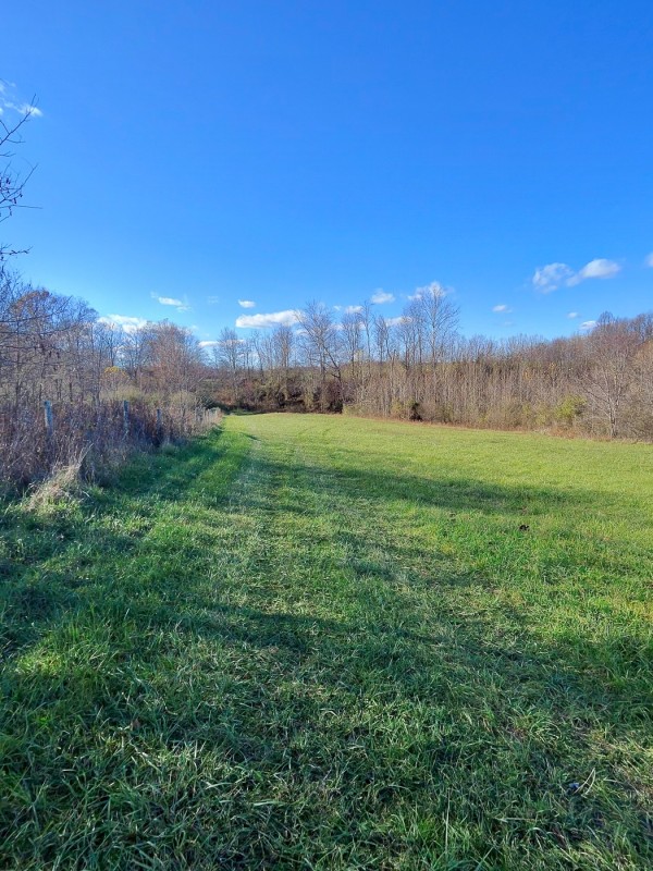 Tract 3 - Albany Woods property photo