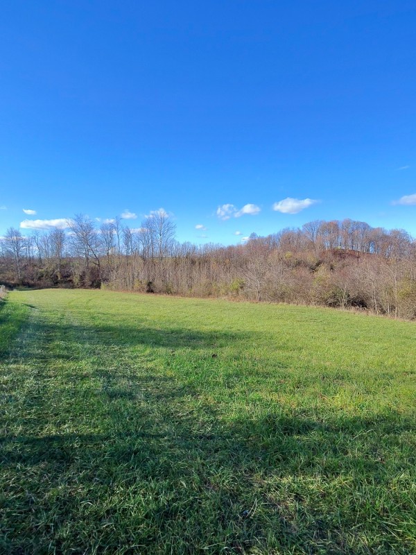 Tract 3 - Albany Woods property photo
