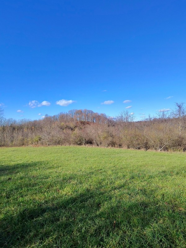 Tract 3 - Albany Woods property photo