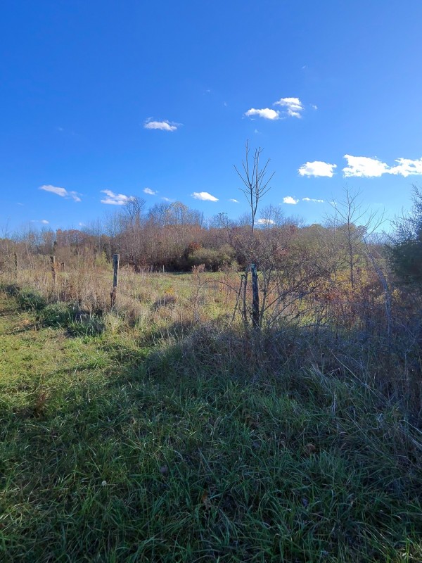 Tract 3 - Albany Woods property photo