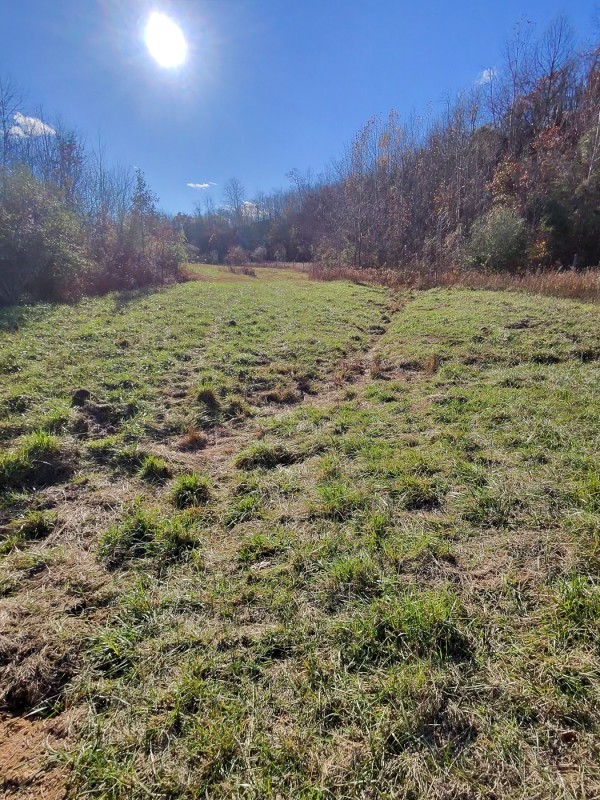 Tract 3 - Albany Woods property photo