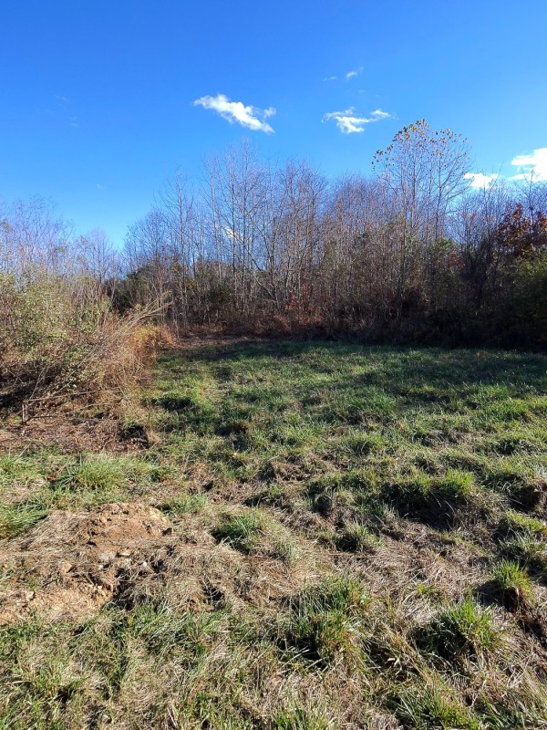 Tract 3 - Albany Woods property photo
