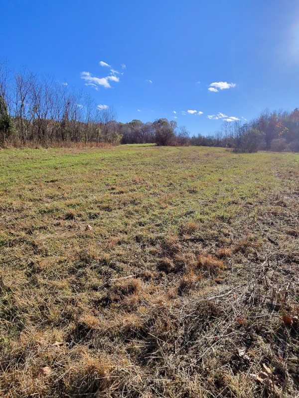 Tract 3 - Albany Woods property photo
