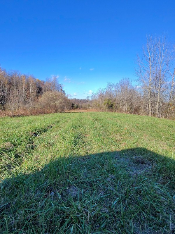 Tract 3 - Albany Woods property photo