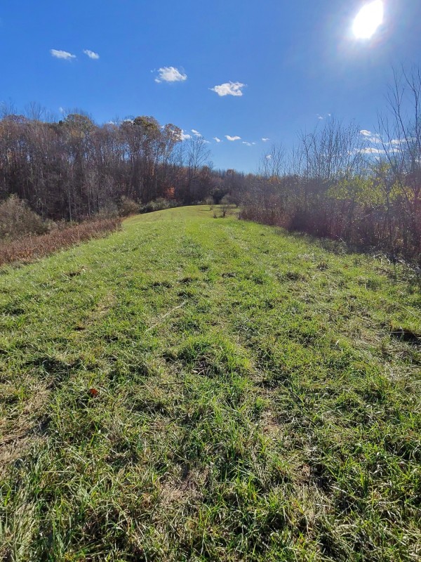 Tract 3 - Albany Woods property photo
