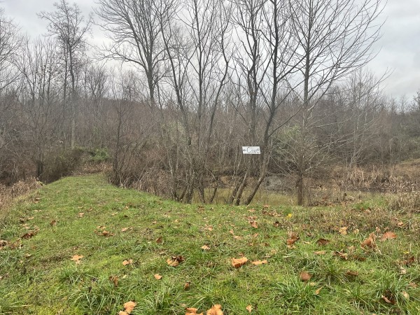 Tract 3 - Albany Woods property photo