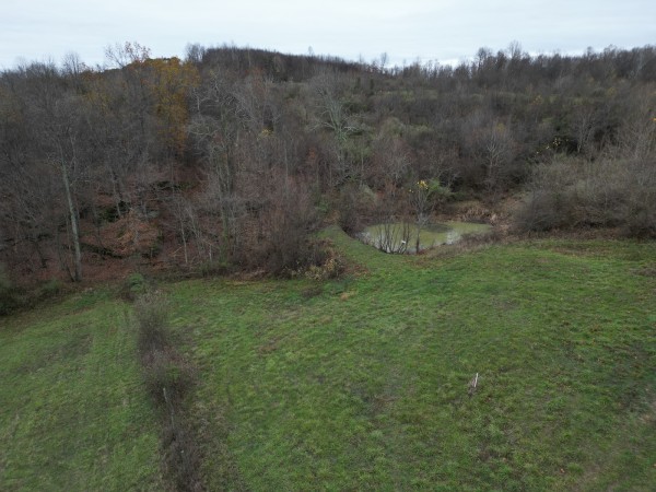 Tract 3 - Albany Woods property photo