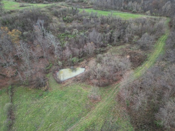 Tract 3 - Albany Woods property photo