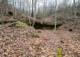Tract 3 - Albany Woods