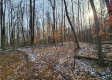 The Pond at Big Timber Ridge property photo