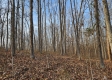 The Pond at Big Timber Ridge property photo