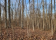 The Pond at Big Timber Ridge property photo
