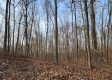 The Pond at Big Timber Ridge property photo