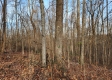 The Pond at Big Timber Ridge property photo