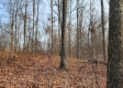 The Pond at Big Timber Ridge property photo