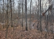 The Pond at Big Timber Ridge property photo