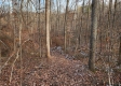 The Pond at Big Timber Ridge property photo