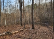The Pond at Big Timber Ridge property photo
