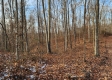 More of The Pond at Big Timber Ridge