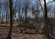 More of Ridgeview Cabin at Titus Woods
