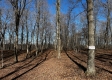 Ridgeview Cabin at Titus Woods property photo