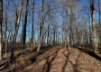 Ridgeview Cabin at Titus Woods property photo