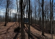 Ridgeview Cabin at Titus Woods property photo
