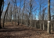 Ridgeview Cabin at Titus Woods property photo