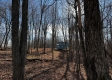 Ridgeview Cabin at Titus Woods property photo
