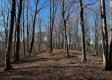 Ridgeview Cabin at Titus Woods property photo