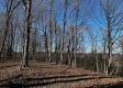 Ridgeview Cabin at Titus Woods property photo