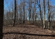 Ridgeview Cabin at Titus Woods property photo