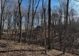 Ridgeview Cabin at Titus Woods property photo