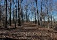Ridgeview Cabin at Titus Woods property photo